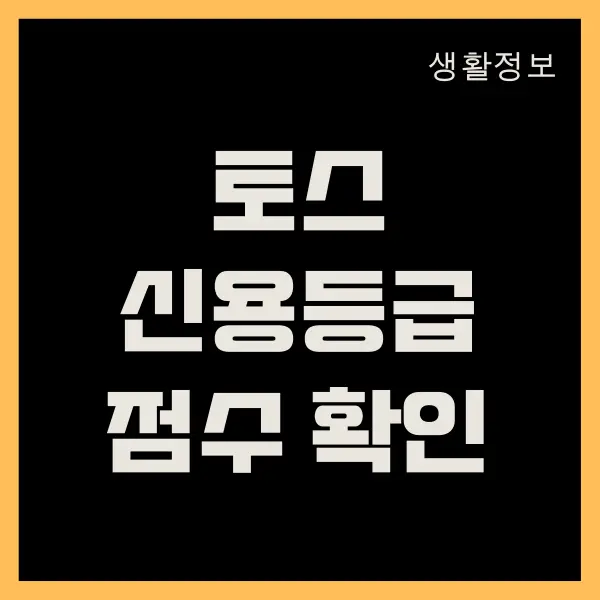 토스 신용 등급 점수 조회, 신용 점수 올리는 방법