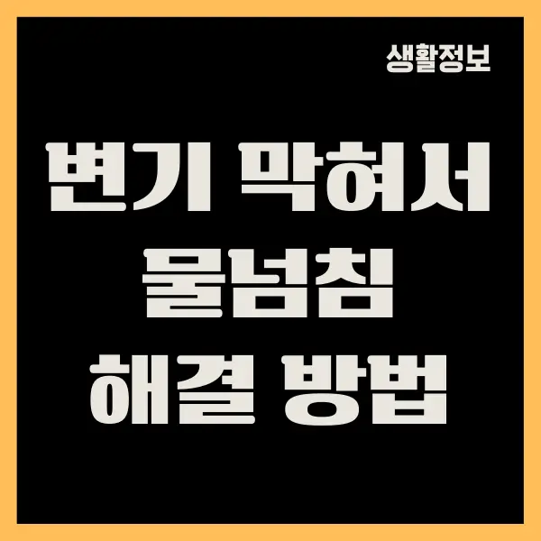 변기 막혀서 물넘침 해결하기, 변기 확실히 뚫기