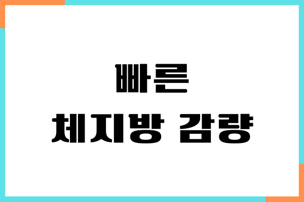 빠른 체지방 감량을 위한 효과적인 방법